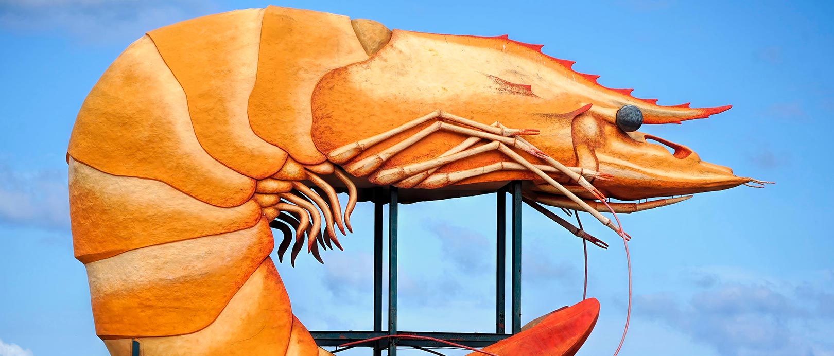 Ballina Car Hire NSW Australia Enjoy Travel