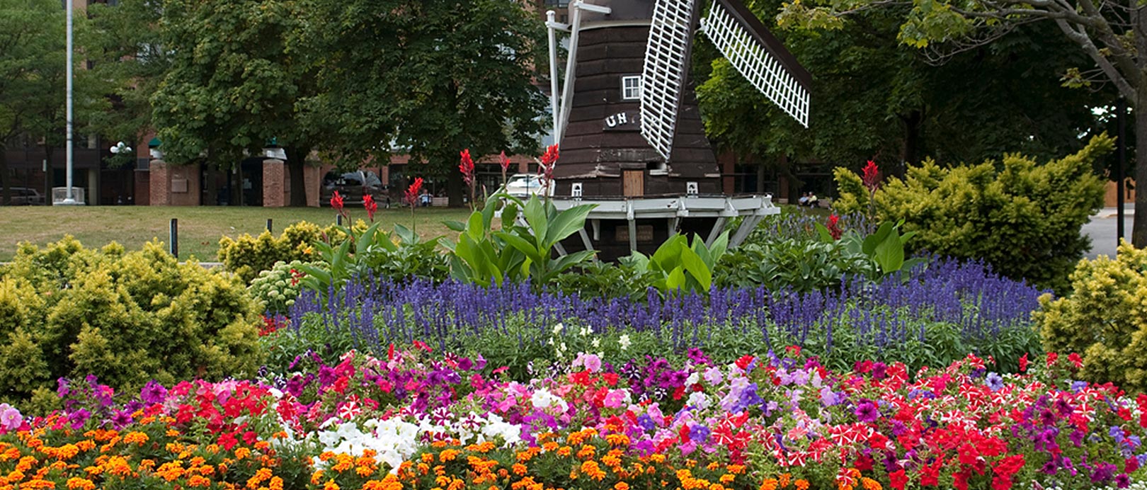 Brampton Car Rental Crazy Low Prices Enjoy Travel