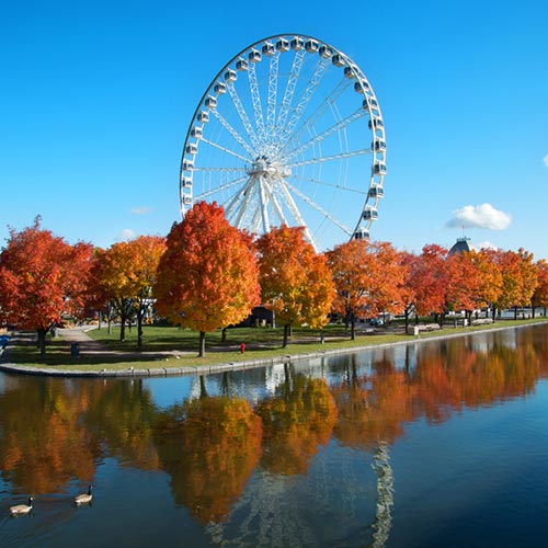 Montreal Great Wheel Montreal Great Wheel