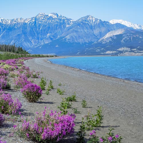 kluane Lake in Yukon Territories kluane Lake in Yukon Territories