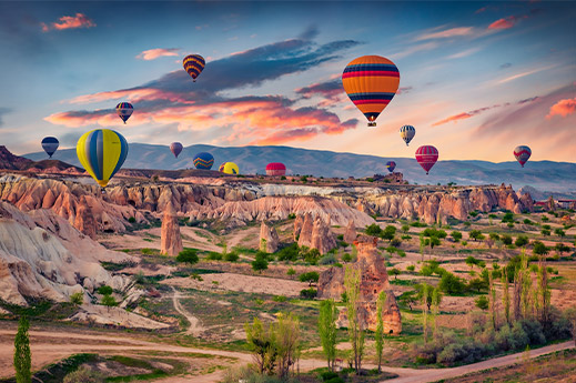 turkey