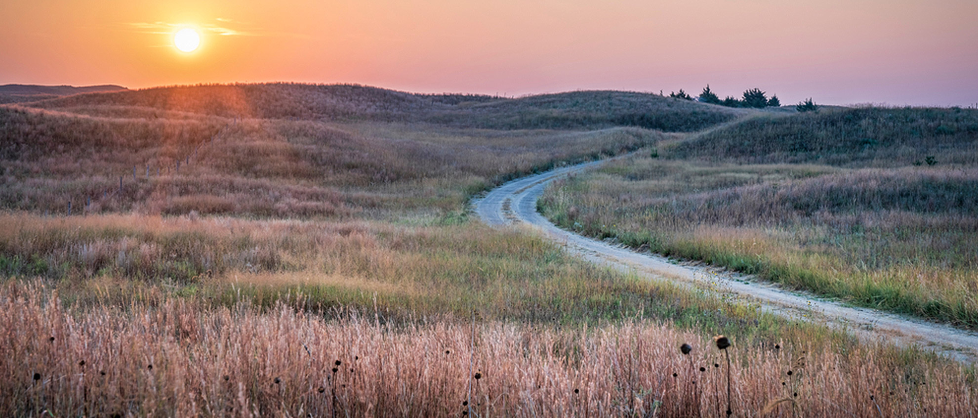 Beatrice Car Rental Cheap Prices Enjoy Travel